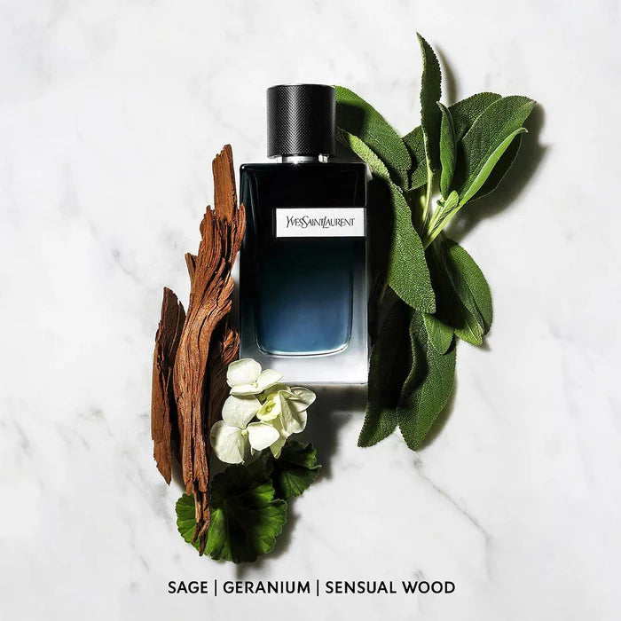 YSL Y